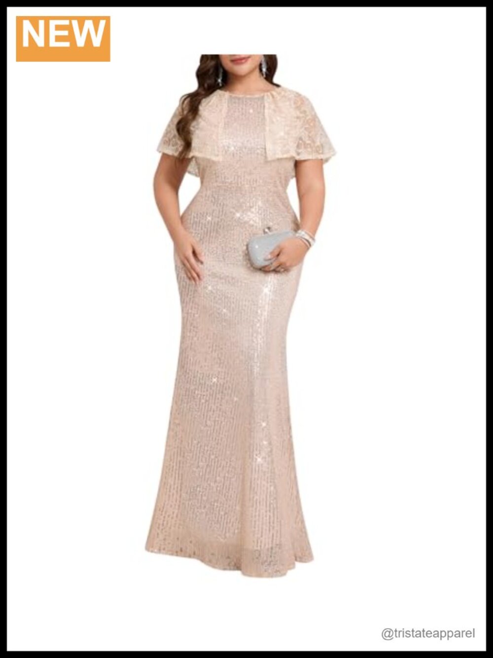 Plus Size Sequin Mesh Bodycon Maxi Formal Evening Gown